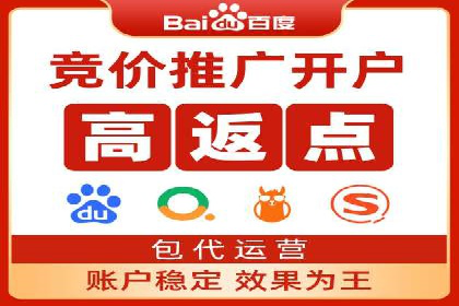 竞价排名成功案例分享
